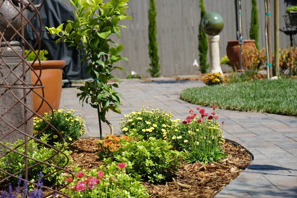 Planting of gardening 